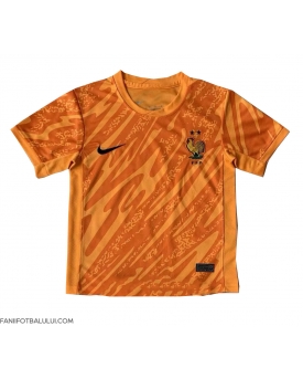 Franța Portarii Tricou Fotbal Replică European 2024 Barbati Deplasare